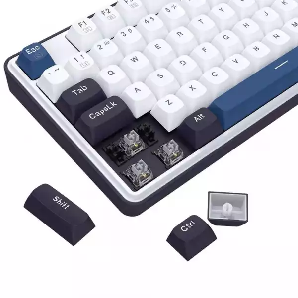 Механична геймърска клавиатура Redragon Wyvern K689WBB-RGB с RGB  подсветка - бяло/синьо