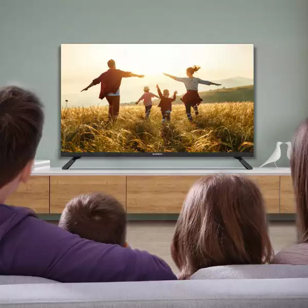 METZ Телевизор 40MTE2000Z 40" LED TV, HD, черен