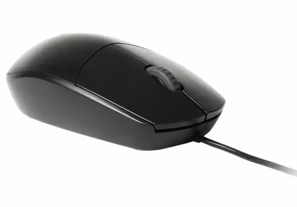 Оптична мишка RAPOO N100, 18050 Оптична мишка RAPOO N100, 18050