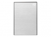 SEAGATE One Touch 4TB External HDD with Password Protection Silver