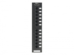 12 port wall mount NetKey™ Cat 5e preloaded punchdown patch panel, for use with