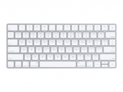 APPLE Magic Keyboard - US English                          