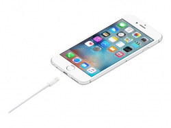 APPLE VMI Lightning to USB Cable 0.5m, iPod touch 5. Gen iPod nano 7. Generation                          