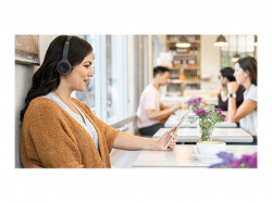 CISCO 730 Wireless Dual On-ear Headset+Stand USB-A Bundle-Carbon                          