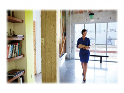 JABRA PRO 925 Mono for Desk phone and Mobile with Bluetooth Noise-Cancelling JABRA Safe tone