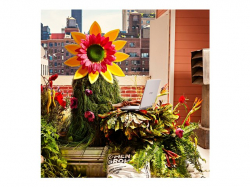 Лаптоп HP OMEN Intel Core i7-14700HX 16inch WQXGA 16GB DDR5 RAM 2TB PCIe SSD NVIDIA GeForce RTX 4060 8GB VRAM WUXGA FREE DOS