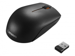 LENOVO 300 Wireless Compact Mouse - WW                          
