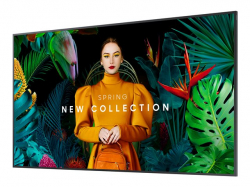 SAMSUNG 75inch UHD/4K 16:9 QM75C Slim-LED 500nits Speakers 2x10W black 3xHDMI 2.0 DP 1.2 USB 2.0 x 2 Ethernet WiFi Dualband BT                          