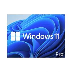 WIN 11 PRO 64BIT ENG DSP DVD                          