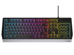 Genesis Gaming Keyboard Rhod 300 US Layout                          