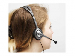 LOGITECH H110 Corded Stereo Headset - GRAY/SILVER - Dual Plug