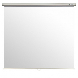ACER PROJECT SCREEN M87-S01MW                          