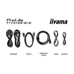 Монитор IIYAMA T1731SR-B1S, 17", Touch monitor, Serial resistive technology, TN Panel, 5:4, SVGA 1280 x 1024, 250cd/m2, 1000:1, 5ms, IP54 Front, OSD key lock, VGA, HDMI, DisplayPort, Speakers, Tilt, VESA 100, Black