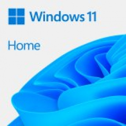Microsoft Windows 11 Home 64Bit Eng Intl 1pk DSP OEI DVD