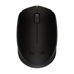 LOGITECH WL B170 OPT MOUSE BLK                          