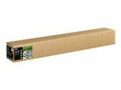 EPSON Fine Art Cotton Textured Bright 44 inch x 15m