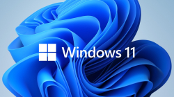 Microsoft Windows 11 Pro GGK 64Bit Eng Intl 1pk DSP ORT OEI DVD                          