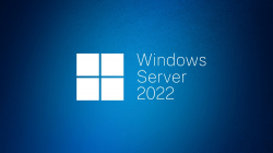 Windows Server CAL 2022 English 1pk DSP OEI 1 Clt Device CAL