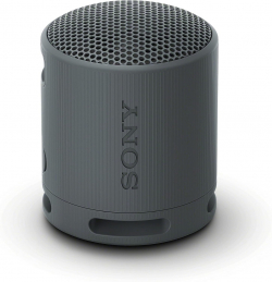 Sony SRS-XB100 Portable Bluetooth Speaker, black                          