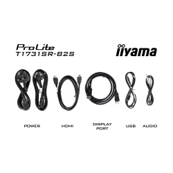 Монитор IIYAMA T1731SR-B2S, 17 inch, Touch monitor, Serial resistive technology, TN panel, AG, 5:4, 1280 x 1024, 250cd/m2, 1000:1, 5ms, IP54 Front, VGA, HDMI, DP, Audio, Speakers, Tilt, Face Up, VESA 100, Black