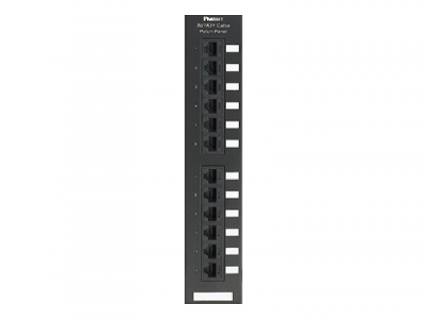 12 port wall mount NetKey™ Cat 5e preloaded punchdown patch panel, for use with