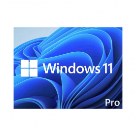 WIN 11 PRO 64BIT ENG DSP DVD WIN 11 PRO 64BIT ENG DSP DVD